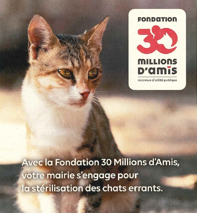 Campagne d'identification et de stérilisation de chats errants